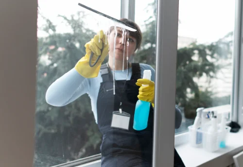 Nettoyage de vitres intérieures et extérieures à Champnétery